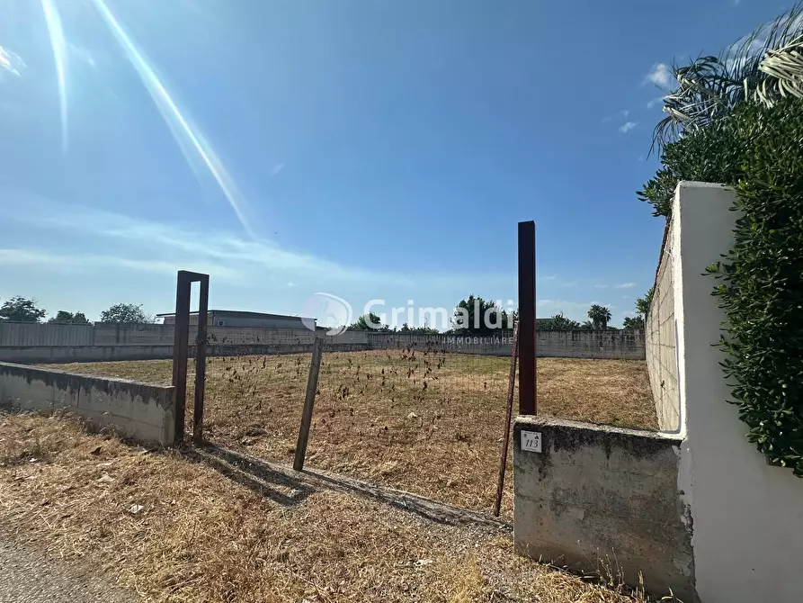 Immagine 3 di Terreno agricolo in affitto  in Via Fatigati, 117 a Acerra