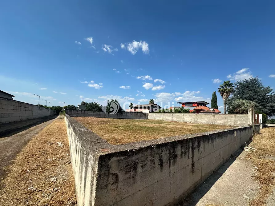Immagine 8 di Terreno agricolo in affitto  in Via Fatigati, 117 a Acerra