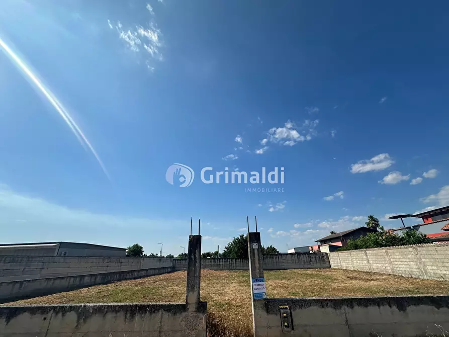 Immagine 2 di Terreno agricolo in affitto  in Via Fatigati, 117 a Acerra