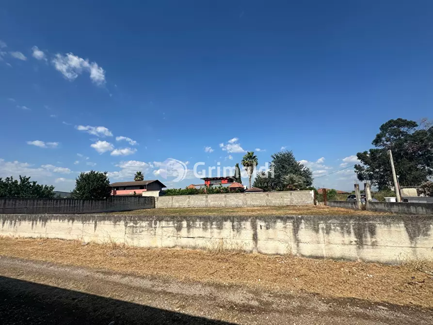 Immagine 7 di Terreno agricolo in affitto  in Via Fatigati, 117 a Acerra