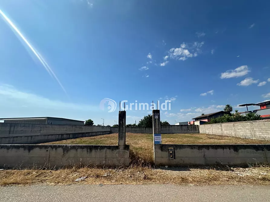 Immagine 5 di Terreno agricolo in affitto  in Via Fatigati, 117 a Acerra