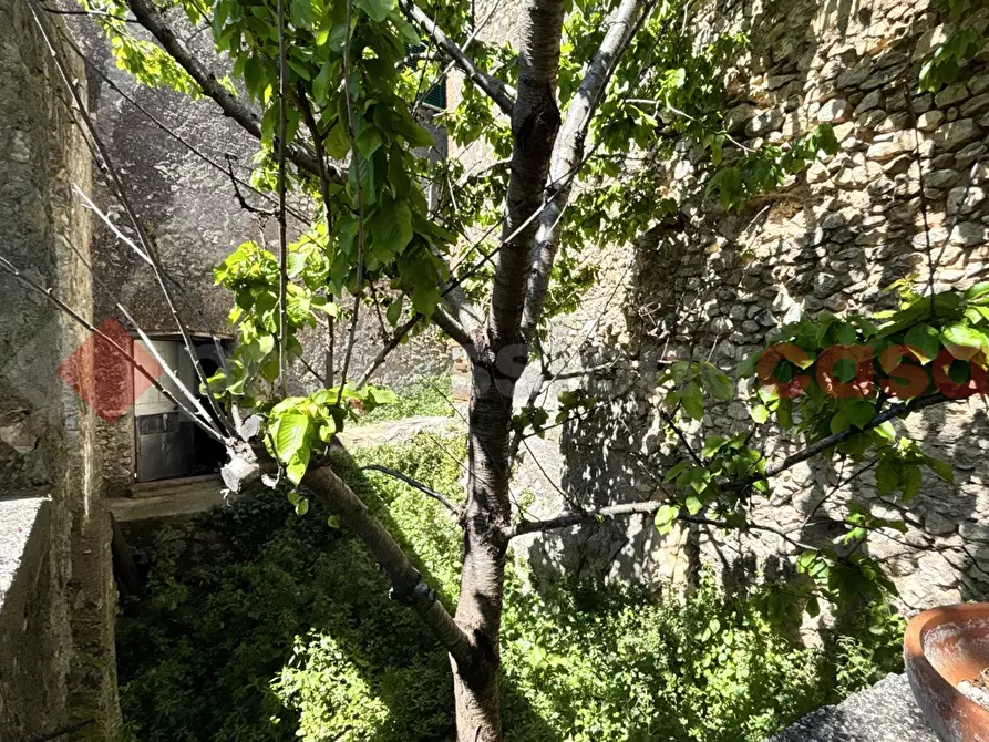 Immagine 22 di Appartamento in vendita  in Via Costa Calda, 81 a Piglio