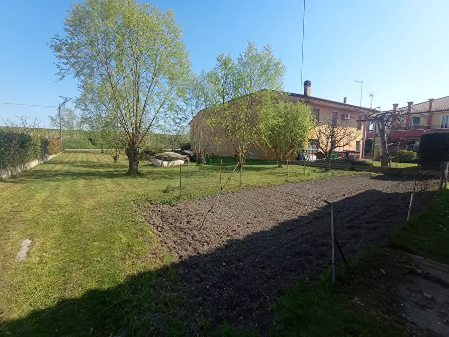 Immagine 3 di Casa indipendente in vendita  in Via Boscochiaro, via 2 Giugno, 00 a Cavarzere