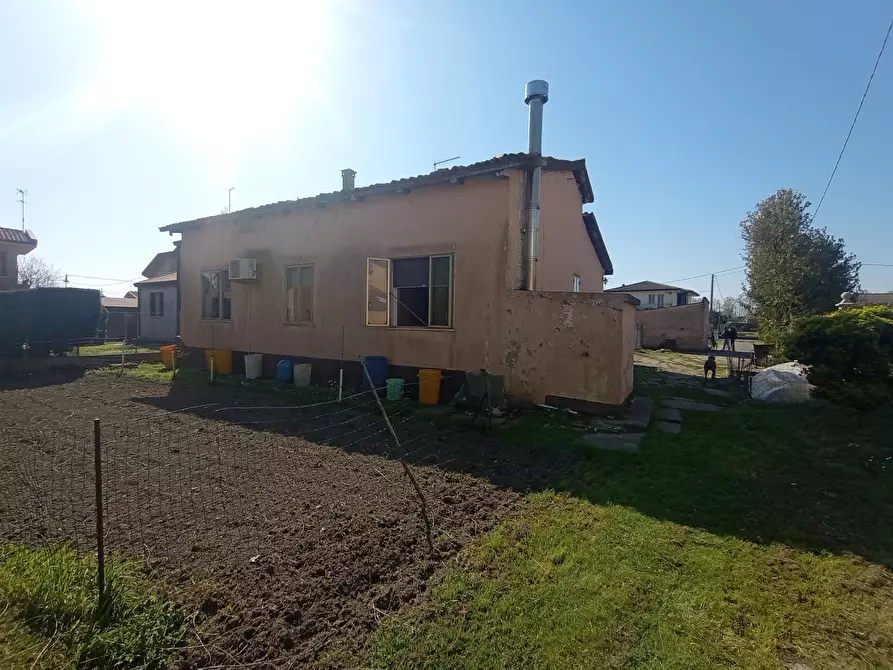 Immagine 2 di Casa indipendente in vendita  in Via Boscochiaro, via 2 Giugno, 00 a Cavarzere