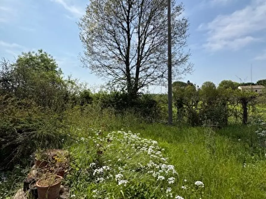 Immagine 2 di Villa in vendita  in Via Ottaviani, 41 a Forli'