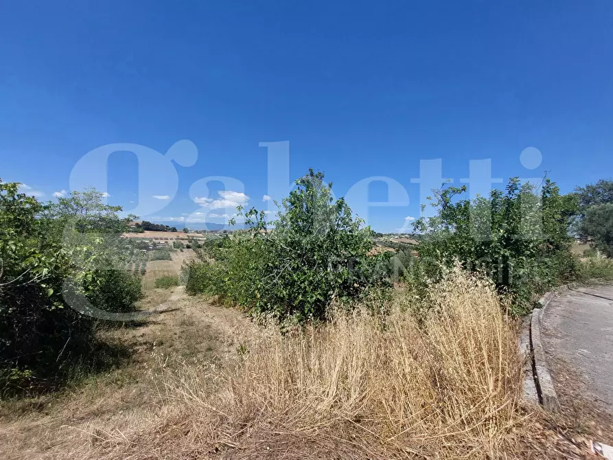 Immagine 2 di Terreno residenziale in vendita  in Via Quaresima, snc a Mosciano Sant'angelo