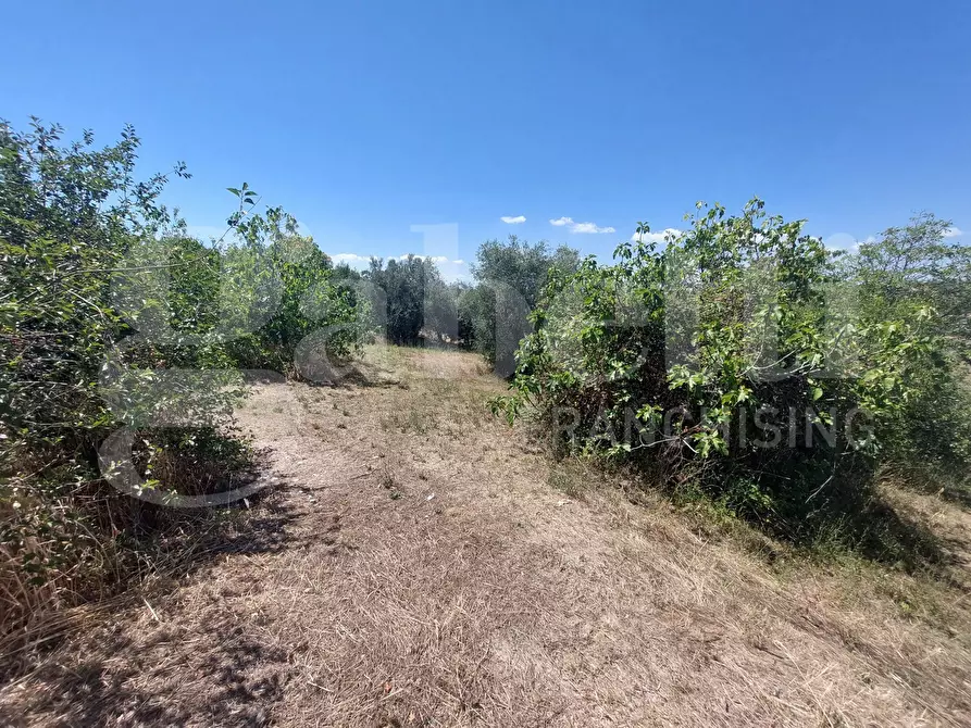 Immagine 4 di Terreno residenziale in vendita  in Via Quaresima, snc a Mosciano Sant'angelo
