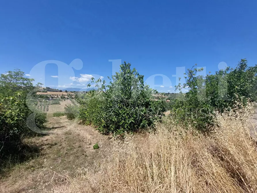 Immagine 3 di Terreno residenziale in vendita  in Via Quaresima, snc a Mosciano Sant'angelo