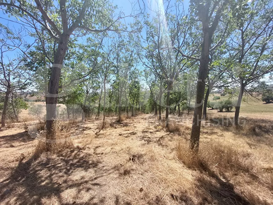 Immagine 13 di Appartamento in vendita  in Via Santa Maria, snc a Mosciano Sant'angelo