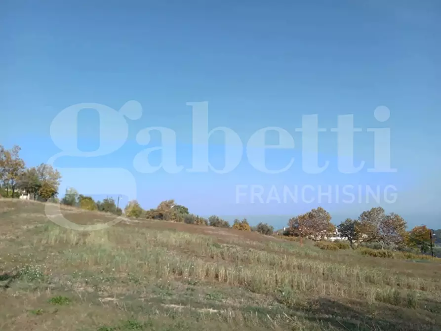 Immagine 1 di Terreno residenziale in vendita  in Via XXIV Maggio, 0 a Tortoreto
