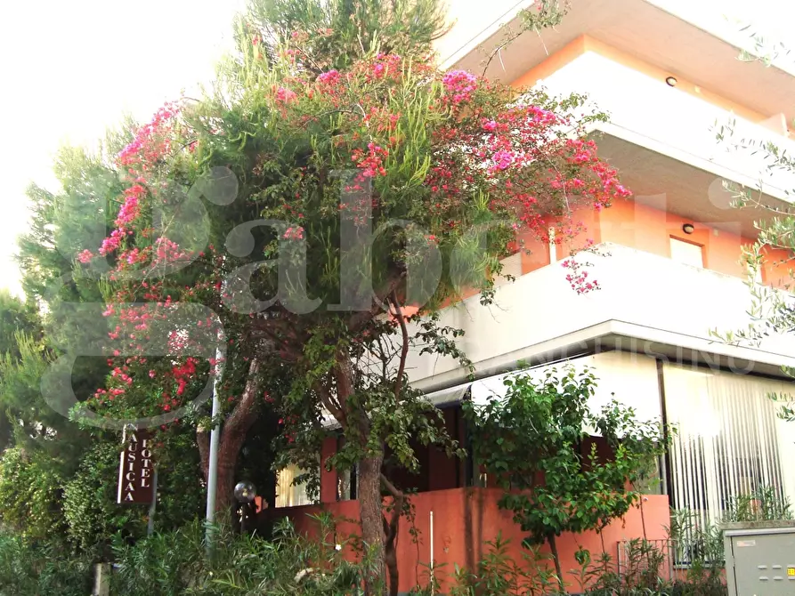 Immagine 4 di Albergo/B&B/Residence in vendita  in Via G. Marconi, 0 a Tortoreto