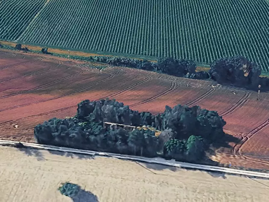 Immagine 4 di Rustico / casale in vendita  in Contrada Passatempo, 3 a Montefano