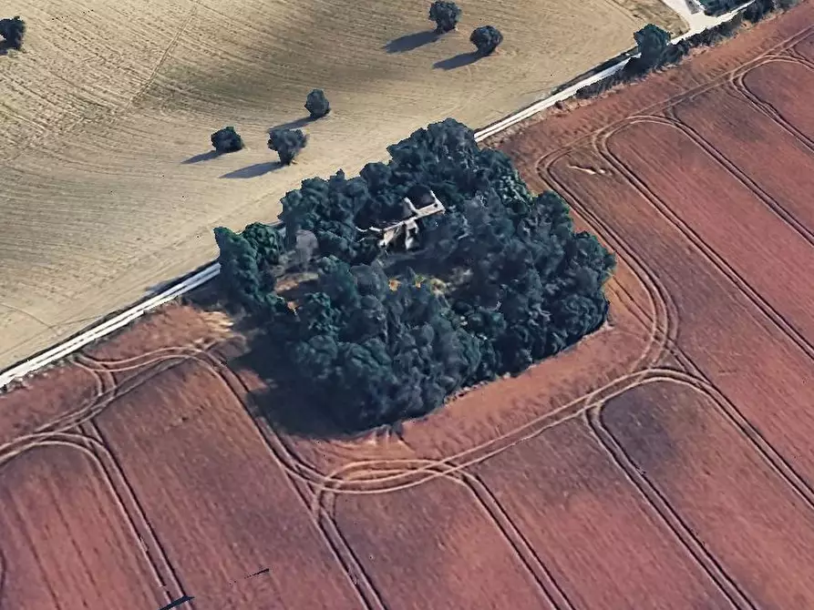 Immagine 3 di Rustico / casale in vendita  in Contrada Passatempo, 3 a Montefano