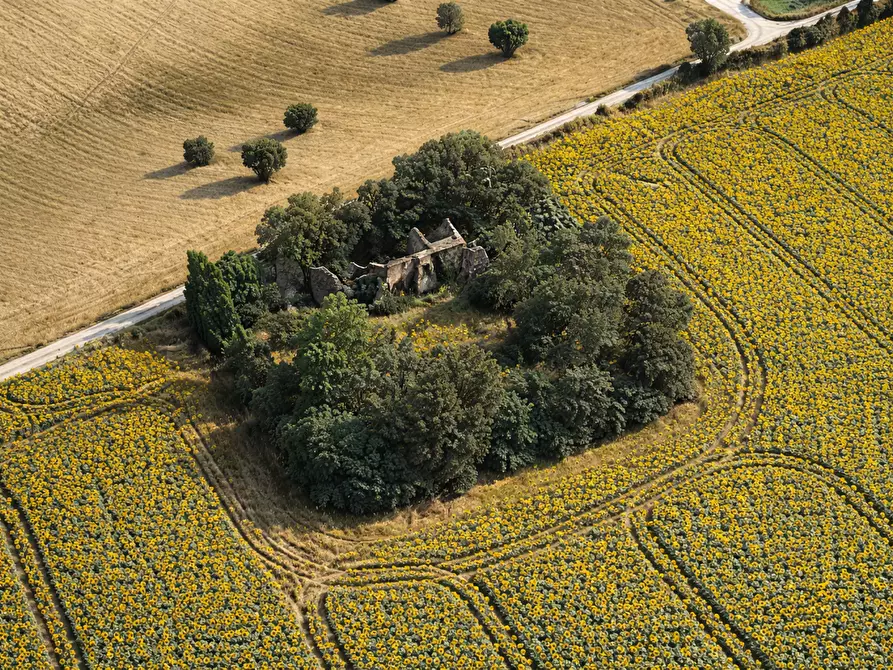 Immagine 2 di Rustico / casale in vendita  in Contrada Passatempo, 3 a Montefano