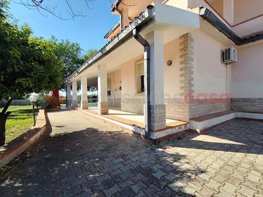 Immagine 11 di Villa in affitto  in Via ellice, 46 a Siracusa