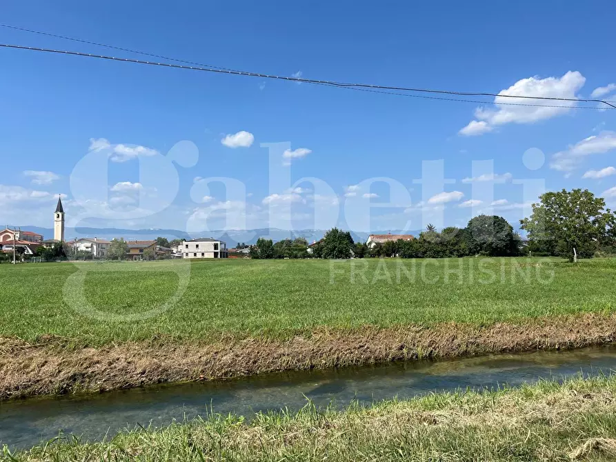Immagine 1 di Terreno agricolo in vendita  in Via Capitelli, 00 a Pozzoleone
