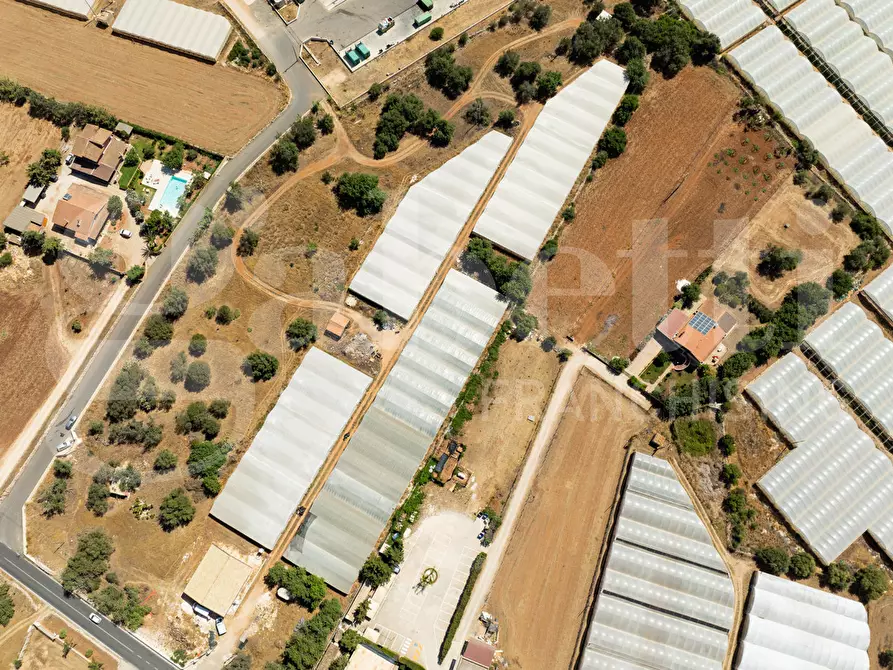 Immagine 8 di Terreno agricolo in vendita  in Contrada Canestanco, snc a Santa Croce Camerina