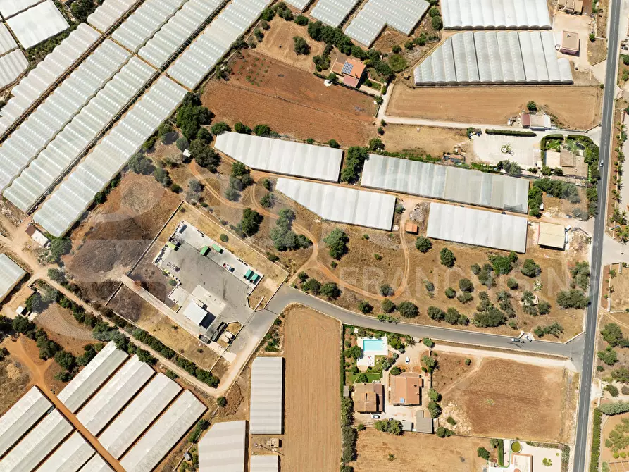 Immagine 3 di Terreno agricolo in vendita  in Contrada Canestanco, snc a Santa Croce Camerina