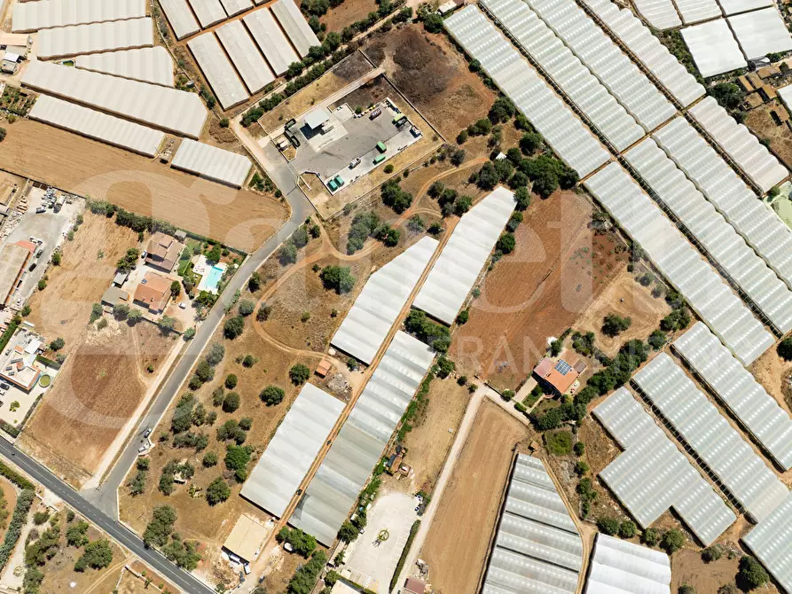 Immagine 7 di Terreno agricolo in vendita  in Contrada Canestanco, snc a Santa Croce Camerina