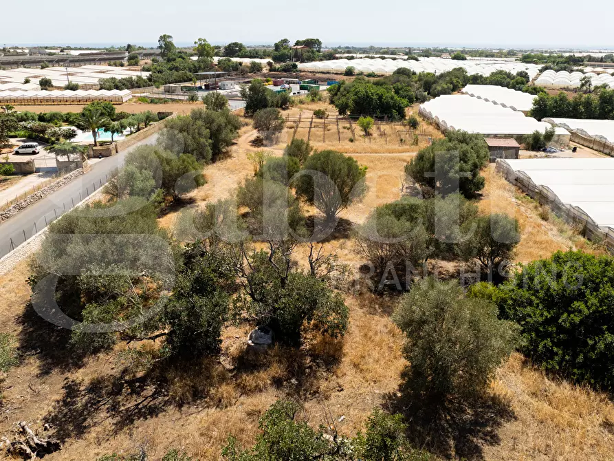 Immagine 17 di Terreno agricolo in vendita  in Contrada Canestanco, snc a Santa Croce Camerina