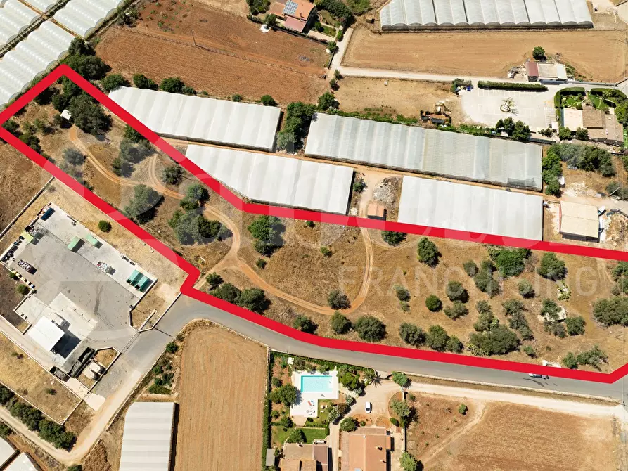 Immagine 2 di Terreno agricolo in vendita  in Contrada Canestanco, snc a Santa Croce Camerina