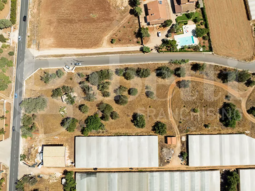 Immagine 12 di Terreno agricolo in vendita  in Contrada Canestanco, snc a Santa Croce Camerina