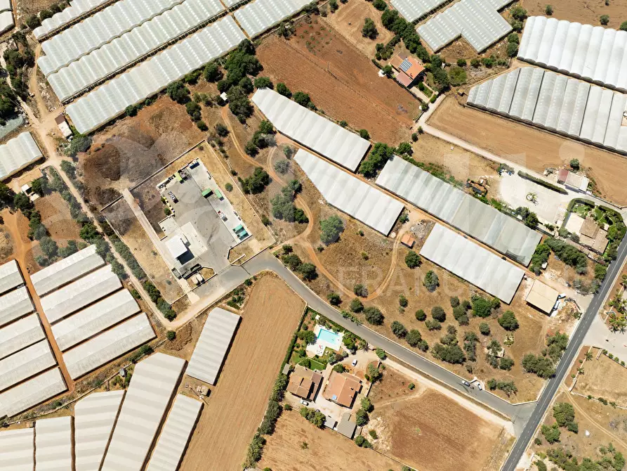 Immagine 4 di Terreno agricolo in vendita  in Contrada Canestanco, snc a Santa Croce Camerina
