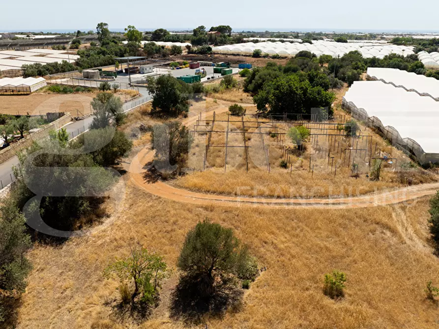 Immagine 18 di Terreno agricolo in vendita  in Contrada Canestanco, snc a Santa Croce Camerina