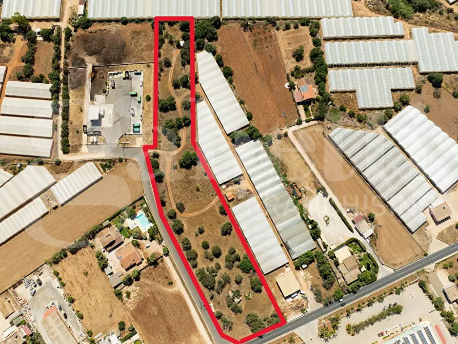 Immagine 5 di Terreno agricolo in vendita  in Contrada Canestanco, snc a Santa Croce Camerina