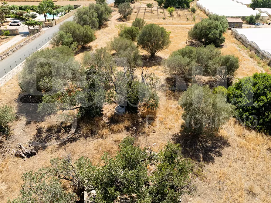 Immagine 16 di Terreno agricolo in vendita  in Contrada Canestanco, snc a Santa Croce Camerina