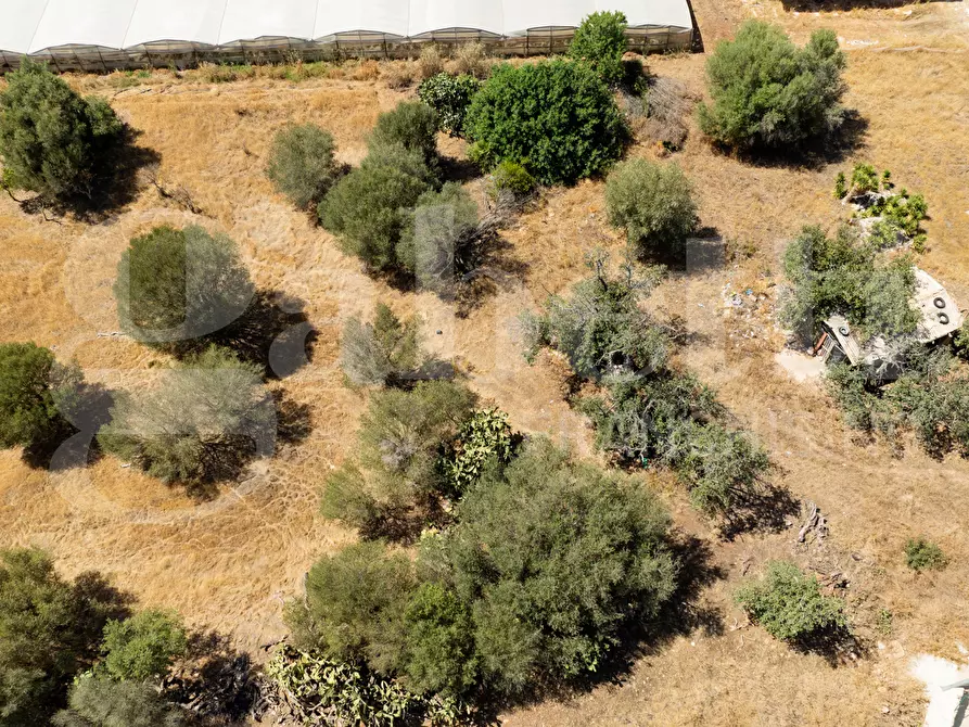 Immagine 14 di Terreno agricolo in vendita  in Contrada Canestanco, snc a Santa Croce Camerina