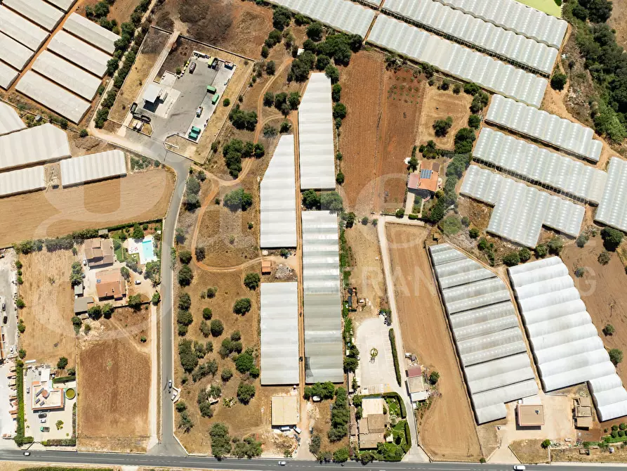 Immagine 6 di Terreno agricolo in vendita  in Contrada Canestanco, snc a Santa Croce Camerina
