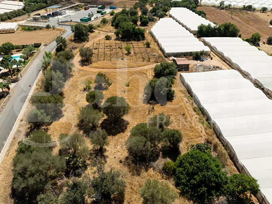 Immagine 15 di Terreno agricolo in vendita  in Contrada Canestanco, snc a Santa Croce Camerina