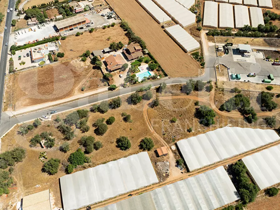 Immagine 10 di Terreno agricolo in vendita  in Contrada Canestanco, snc a Santa Croce Camerina