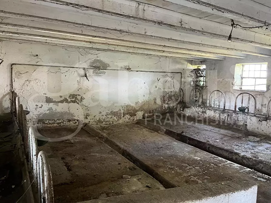 Immagine 6 di Rustico / casale in vendita  in Via Casonetto, 41 a Pozzoleone