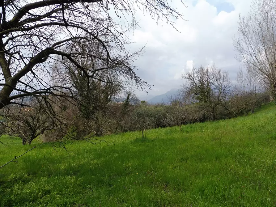 Immagine 4 di Terreno agricolo in vendita  in Via Termine, 00 a Fara Vicentino
