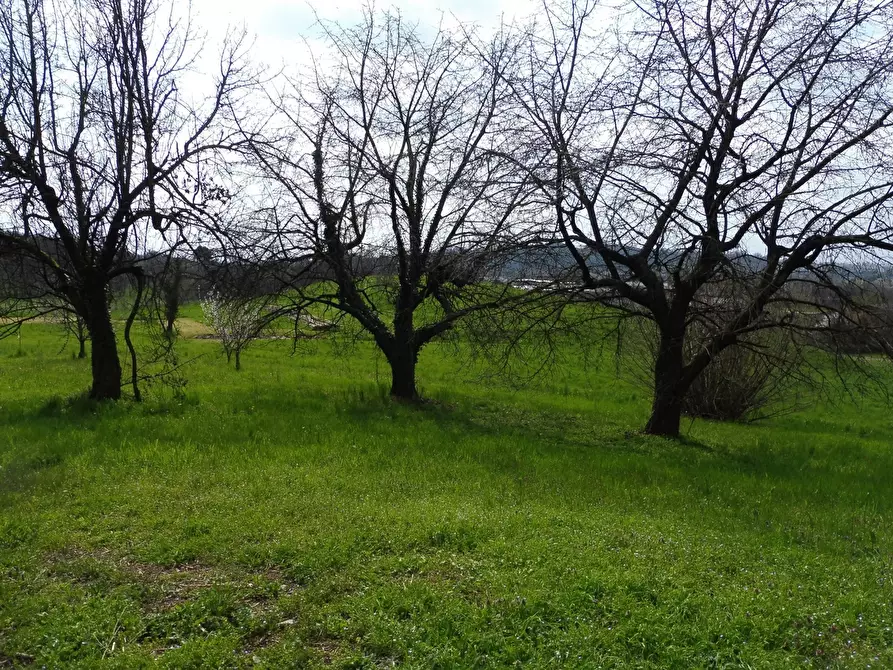 Immagine 3 di Terreno agricolo in vendita  in Via Termine, 00 a Fara Vicentino