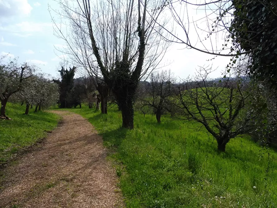 Immagine 2 di Terreno agricolo in vendita  in Via Termine, 00 a Fara Vicentino