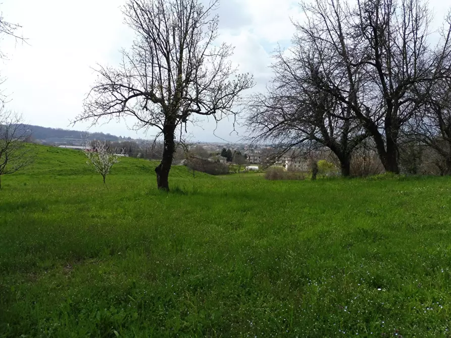 Immagine 1 di Terreno agricolo in vendita  in Via Termine, 00 a Fara Vicentino