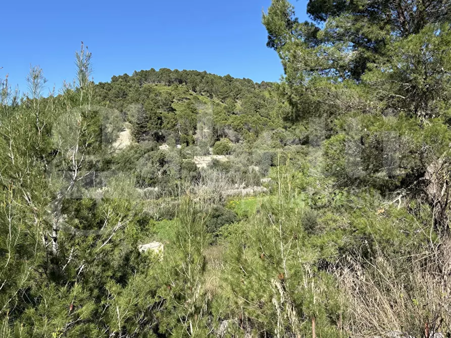 Immagine 28 di Rustico / casale in vendita  in Contrada Petraro, snc a Chiaramonte Gulfi