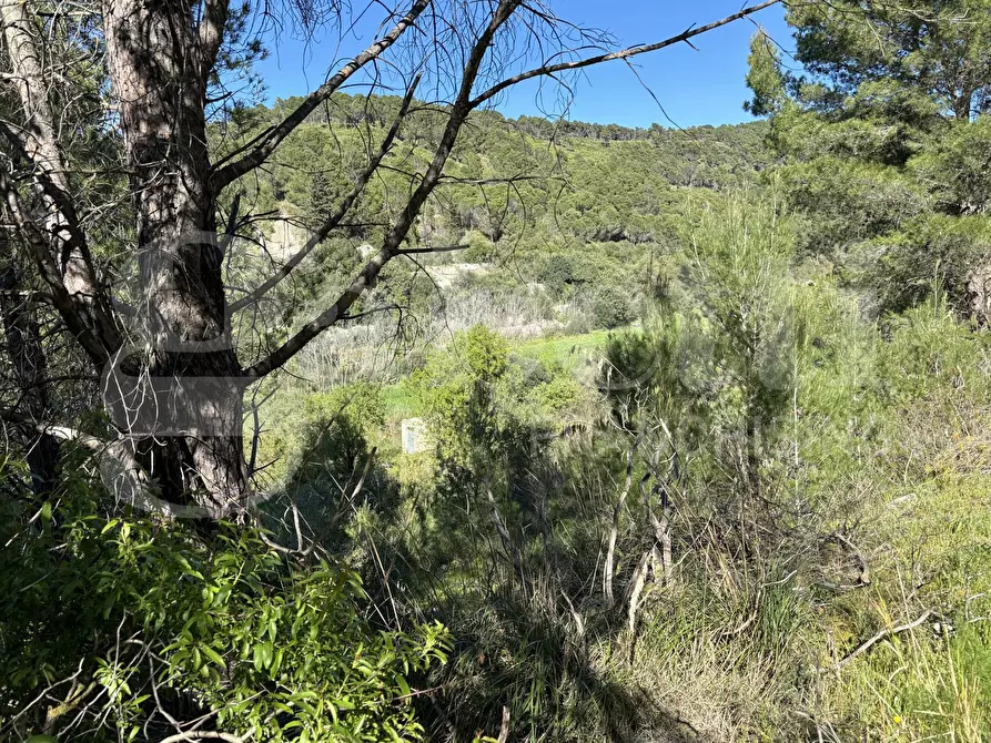 Immagine 21 di Rustico / casale in vendita  in Contrada Petraro, snc a Chiaramonte Gulfi