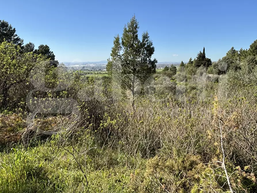 Immagine 19 di Rustico / casale in vendita  in Contrada Petraro, snc a Chiaramonte Gulfi