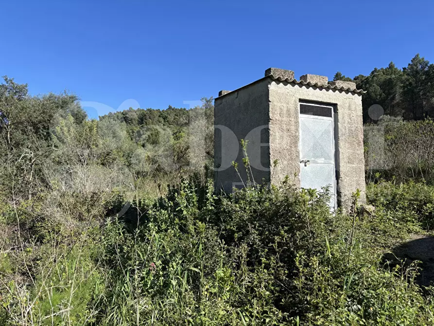 Immagine 15 di Rustico / casale in vendita  in Contrada Petraro, snc a Chiaramonte Gulfi