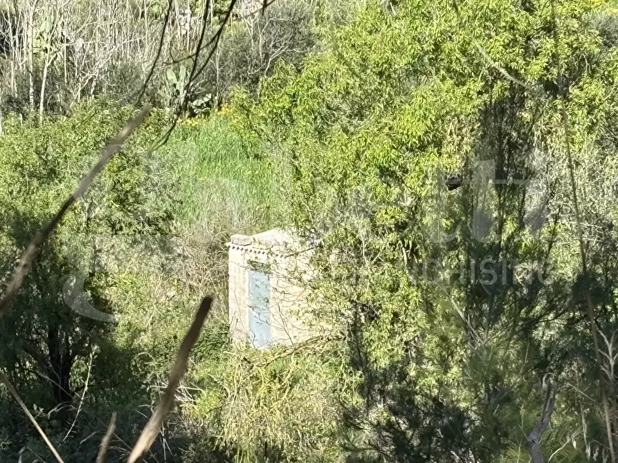 Immagine 3 di Rustico / casale in vendita  in Contrada Petraro, snc a Chiaramonte Gulfi
