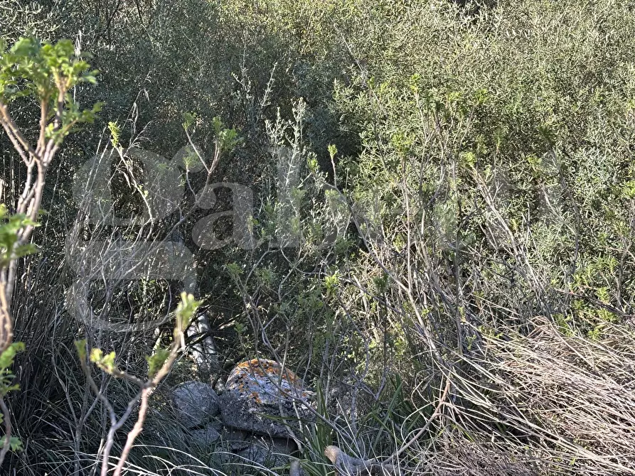 Immagine 24 di Rustico / casale in vendita  in Contrada Petraro, snc a Chiaramonte Gulfi