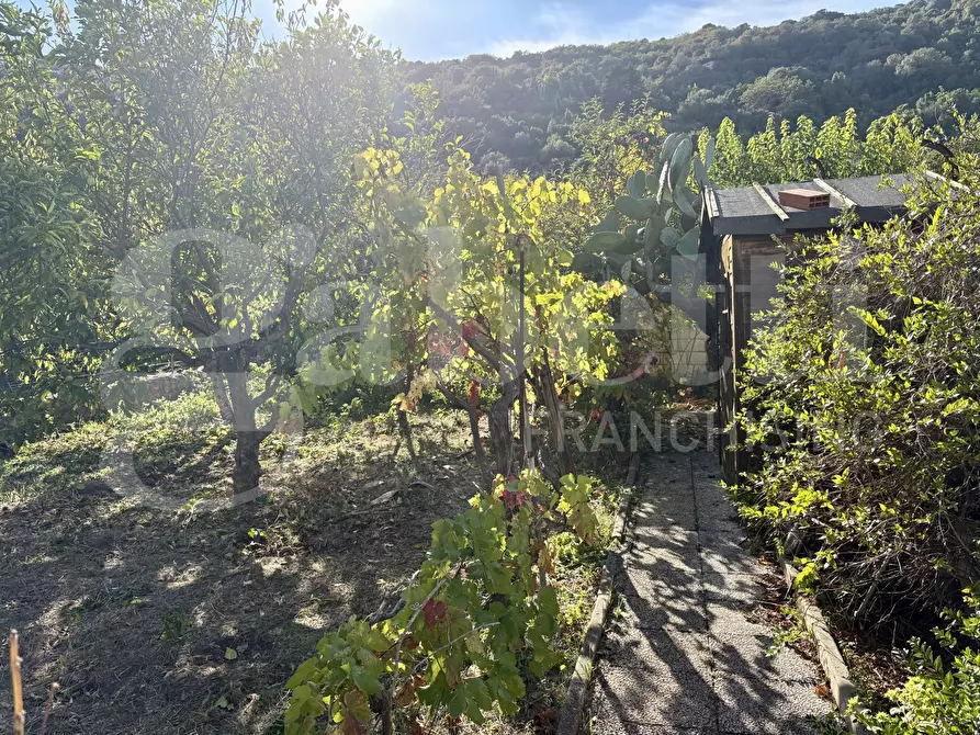 Immagine 23 di Casa indipendente in vendita  in Via Garibaldi, 23 a Muros