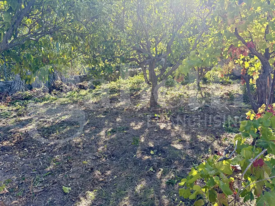 Immagine 24 di Casa indipendente in vendita  in Via Garibaldi, 23 a Muros
