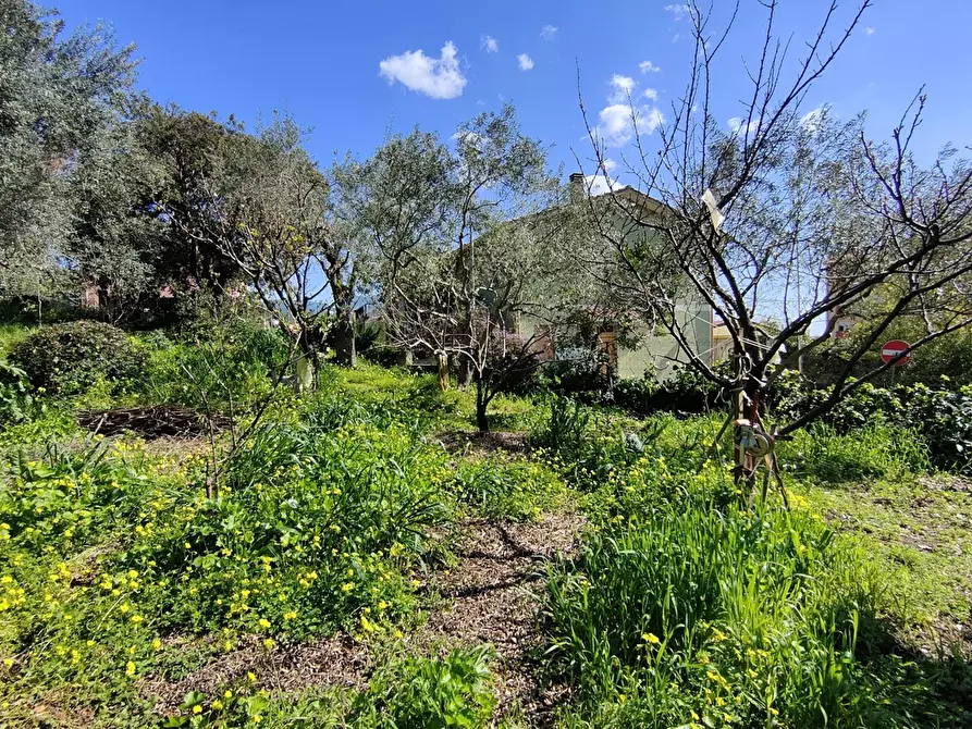 Immagine 1 di Terreno agricolo in vendita  in Via Palestrina, 2 a Iglesias