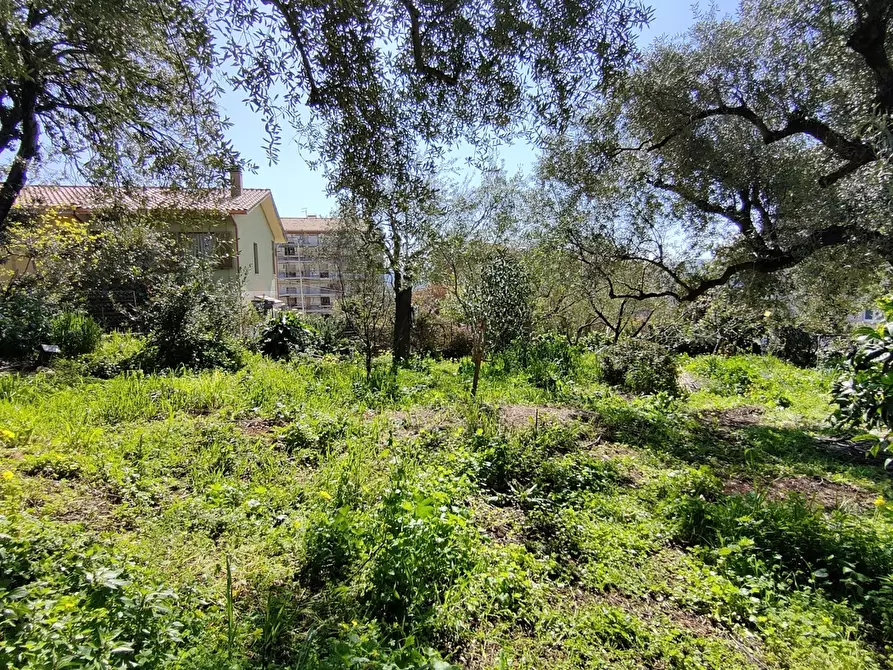 Immagine 4 di Terreno agricolo in vendita  in Via Palestrina, 2 a Iglesias