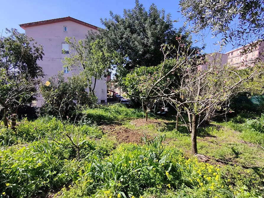 Immagine 2 di Terreno agricolo in vendita  in Via Palestrina, 2 a Iglesias
